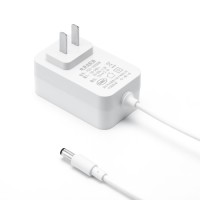 24W Power Adapter