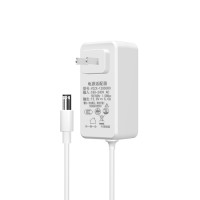 60W Power Adapter New