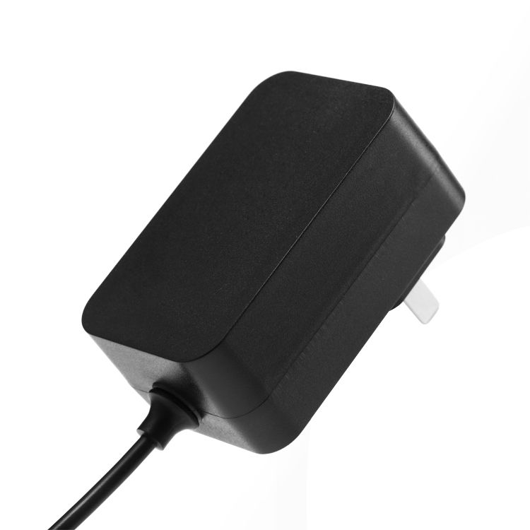 24W Power Adapter New